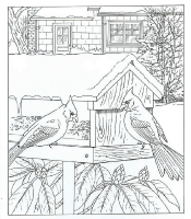 A coloring page of nature in the backyard
